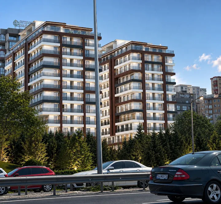 ISTOVA GREEN